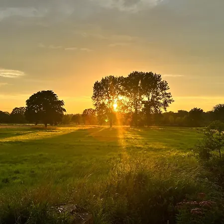 307 - Tiny Elbhouse *