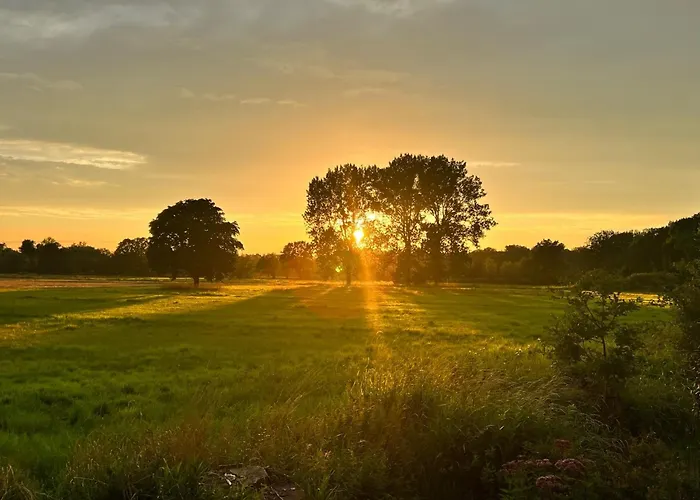 307 - Tiny Elbhouse *