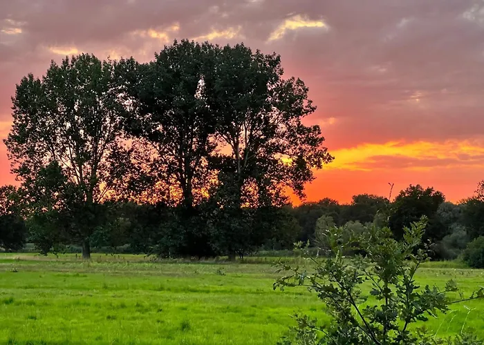 307 - Tiny Elbhouse Ferienhaus Bleckede